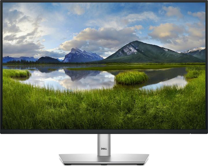 Actual product image Dell P2425 (1920 x 1200 pixels, 24.07")