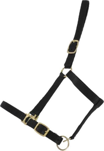 Immagine prodotto TdeT Cavallo capestro in suede imbottito
