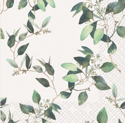 Stewo Eulalia (20 Stk., 33 x 33 cm)