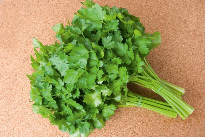 Immagine prodotto Living Seeds Petersilie, einfache Schnitt 3 (Germogli)