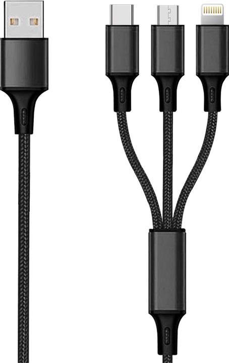 2GO 3in1 (3 m)