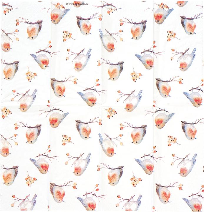 Produktbild Ambiente Taschentücher Robin