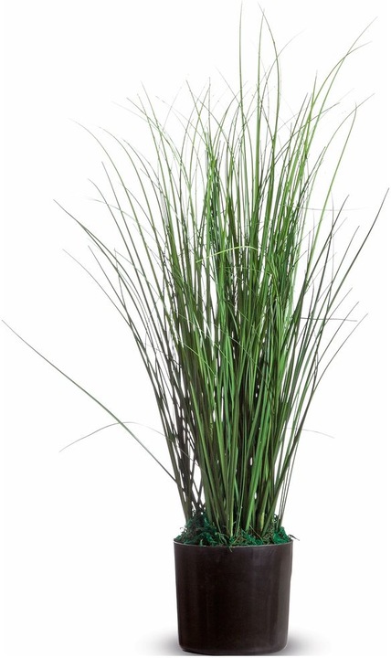 Paperflow Gras (55 cm)