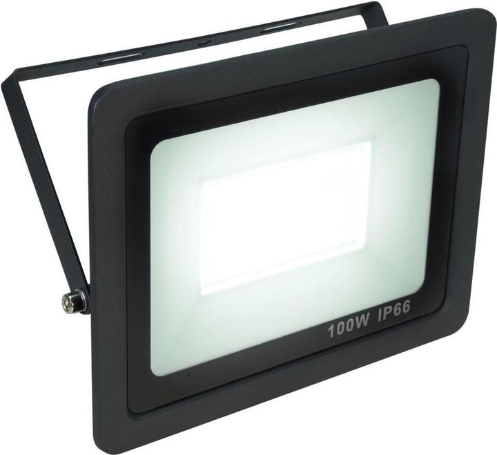 Eurolite LED IP FL-100 SMD CW (LED)