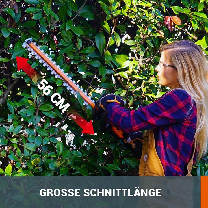 Produktbild Worx AkkuHeckenschere20V2Ah (Akkubetrieb)
