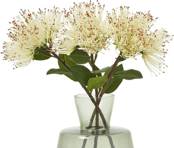 Immagine prodotto Hill Interiors Protea Nitida Stelo Pianta artificiale (45 cm)