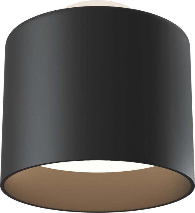 Schwarz