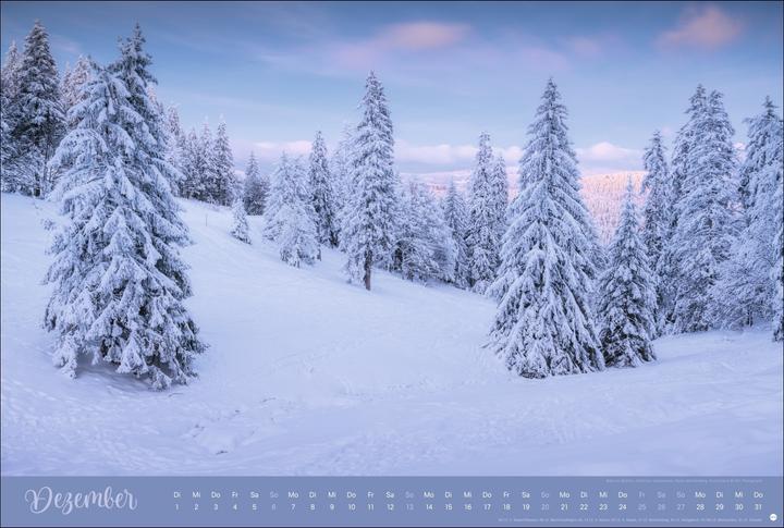 Actual product image Zauberwälder Edition Kalender 2026 (58 x 39 cm)
