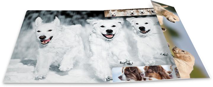 Produktbild HERMA Sammelmappe A4 Motiv (A4, 1x)