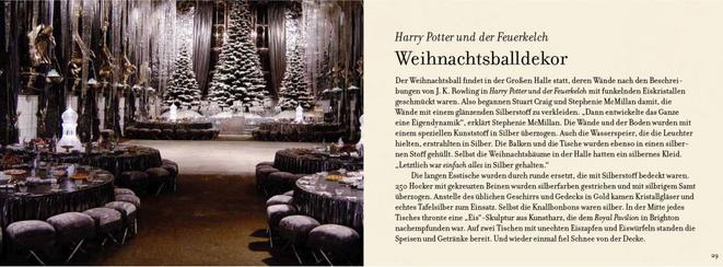 Immagine prodotto Panini Dai film di Harry Potter: Natale a Hogwarts