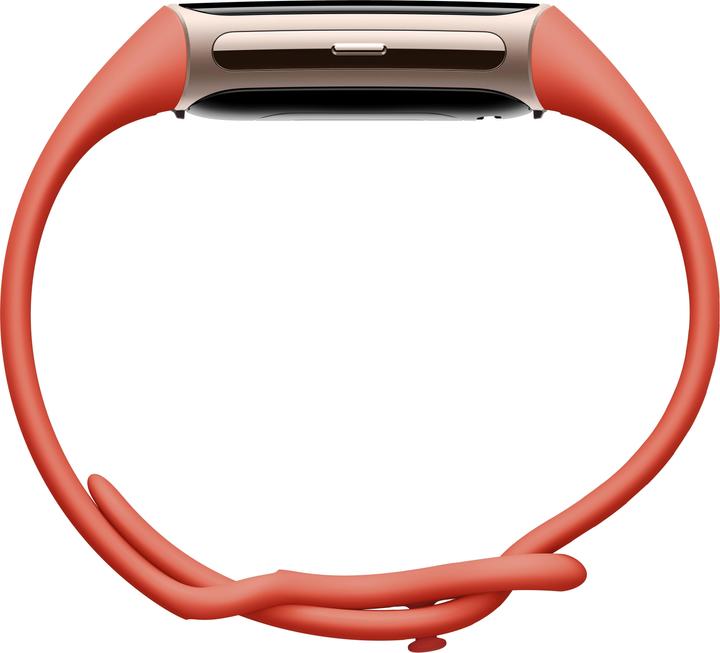 Produktbild Fitbit Charge 6 (36.73 mm)