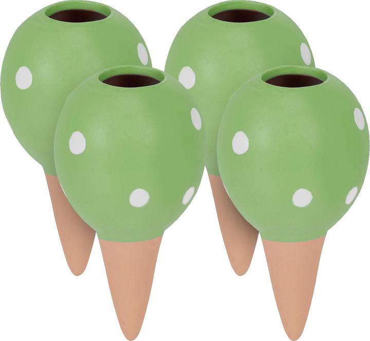Verde, Bianco, Cotto