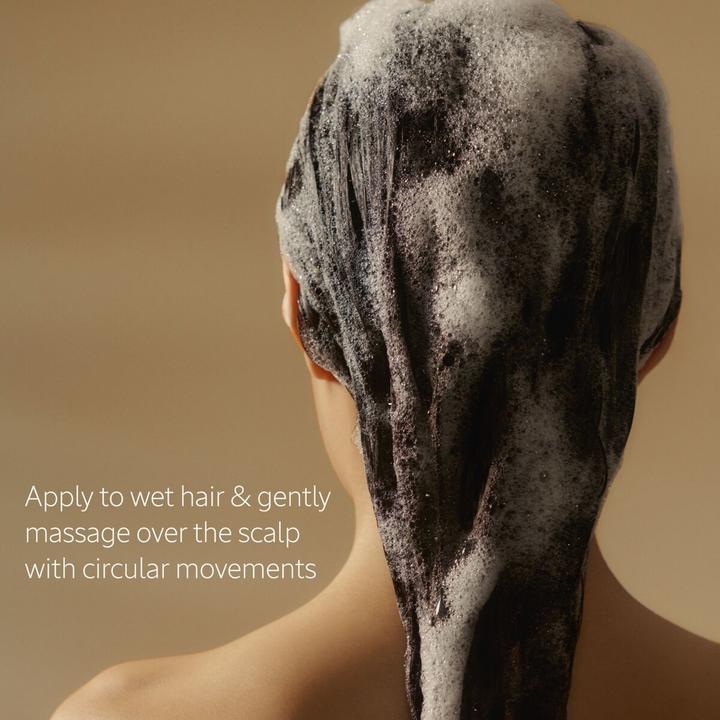 Produktbild L'Occitane Aroma Force & Vol Eco Recharge Shampoo (500 ml, Flüssiges Shampoo)