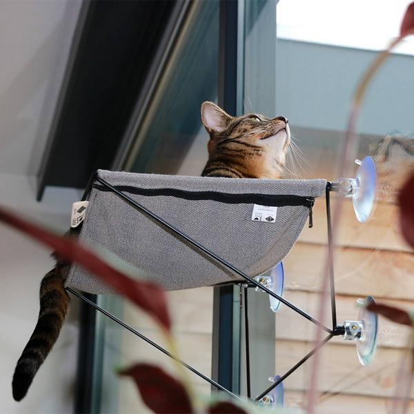 Actual product image D&D Olivia (Cat)