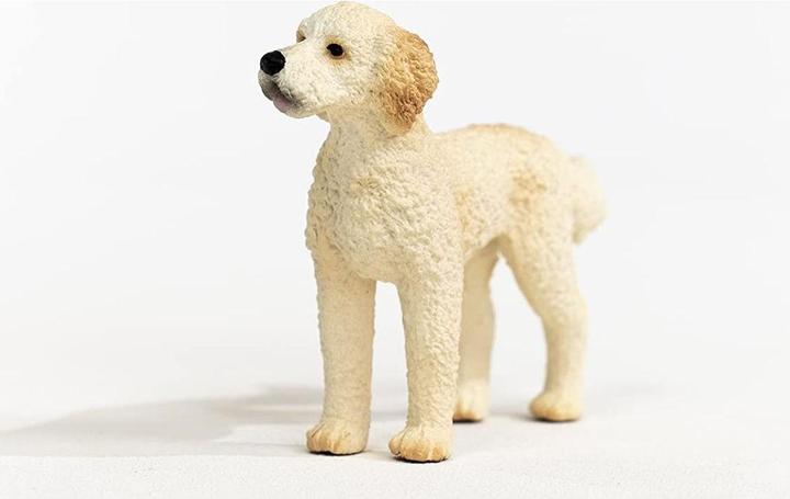 Image du produit Schleich Chien Goldendoodle