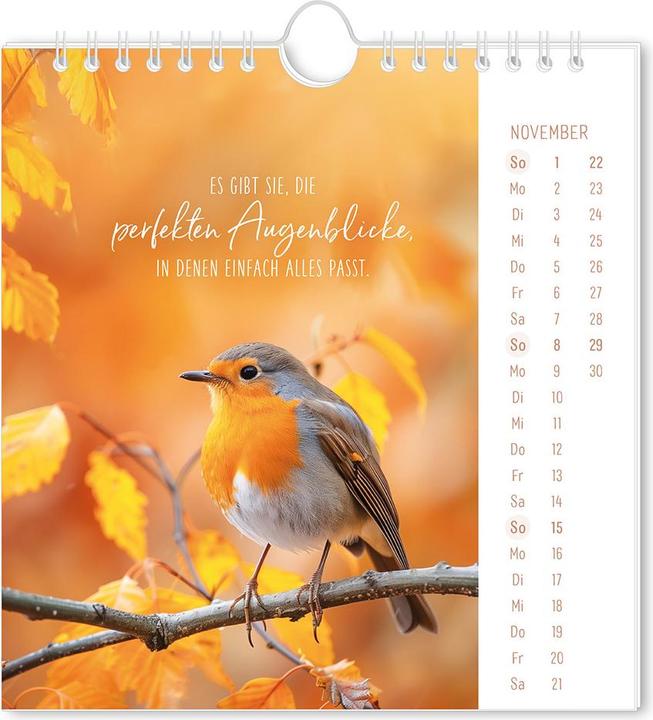 Immagine prodotto Postkartenkalender 2026 Lichtblicke (16 x 17 cm)