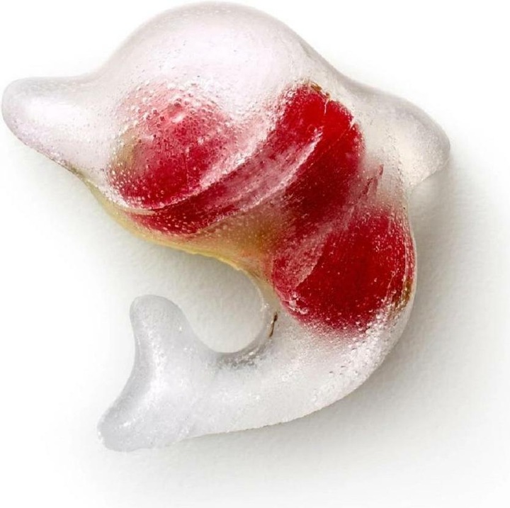 Actual product image Lékué Ice Cubes