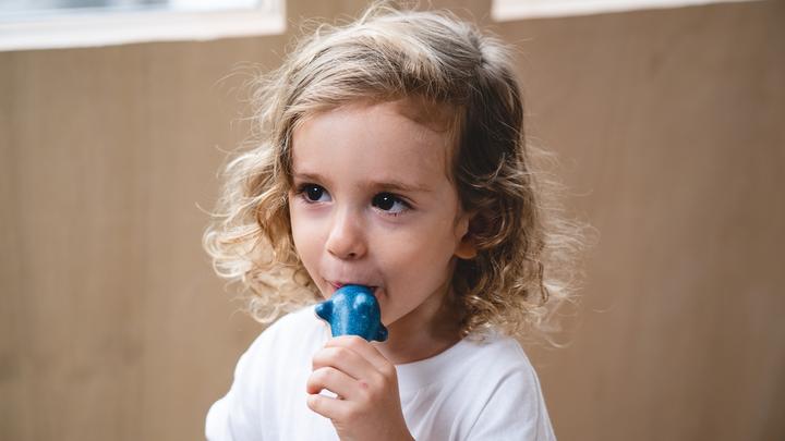 Produktbild Plantoys Pfeife Delfin