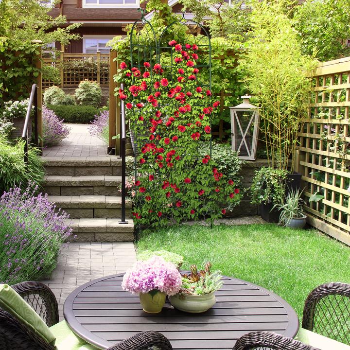 Actual product image Relaxdays Trellis (2 cm, 50 cm)