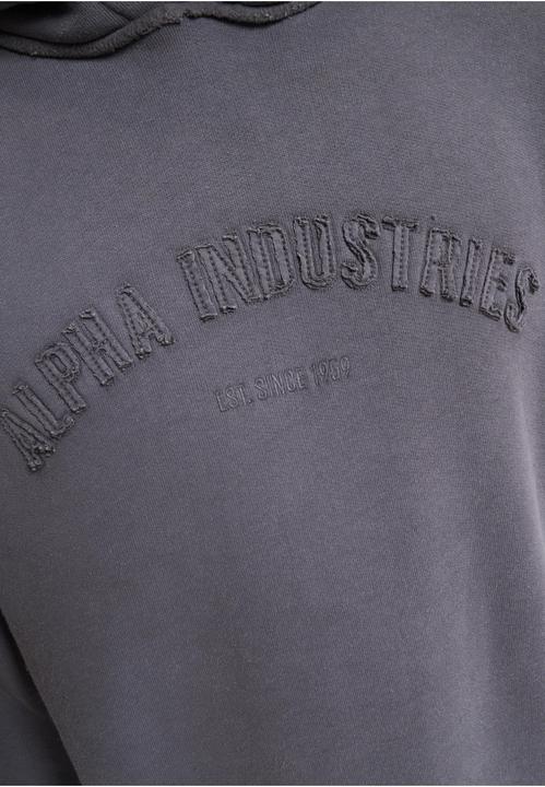 Produktbild Alpha Industries Open Edges Hoodies - 196253 (S)