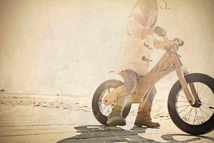 Immagine prodotto Early Rider Classico (14")