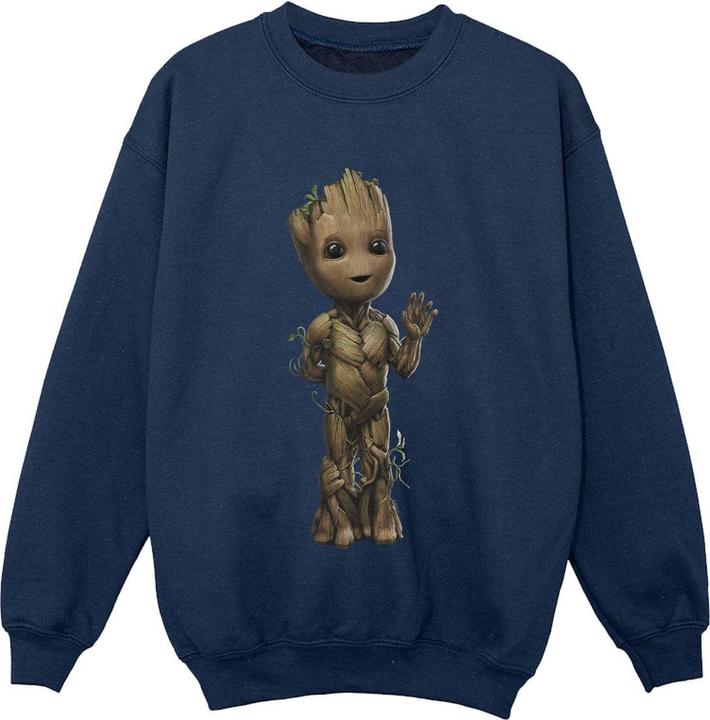 Produktbild I Am Groot Wave Pose Sweatshirt Jungen (140, 146)