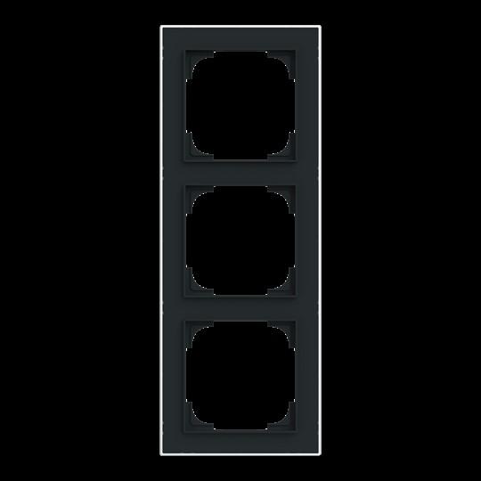 Actual product image Busch-Jaeger Frame 3-fold
