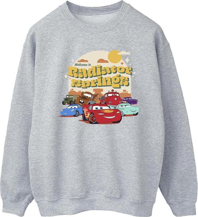 Produktbild Disney Cars Radiator Springs Group Sweatshirt (L)