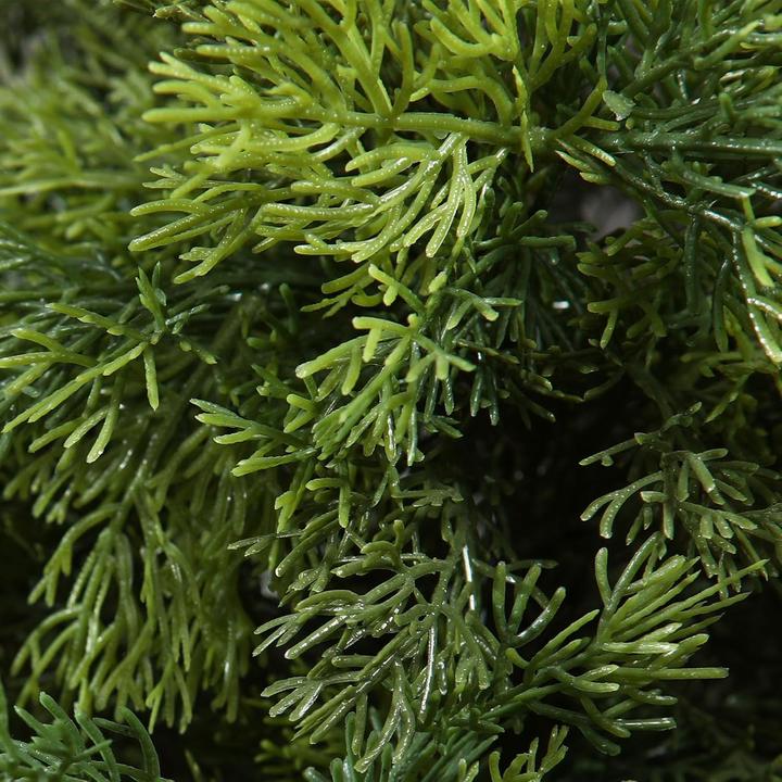 Produktbild Crosofmi 2er-Set Zedernbaum (155 cm)