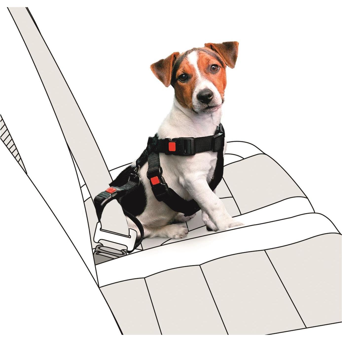 Karlie Nylon dell'imbracatura di sicurezza dell'automobile (Cane), Trasporto animali