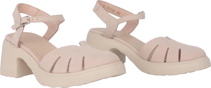 Actual product image Wonders Haizea (40)