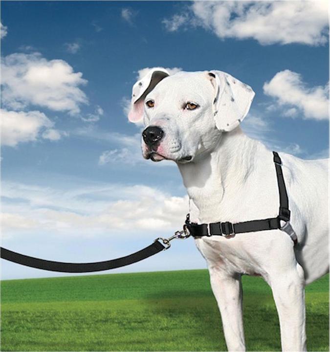 Image du produit PetSafe Easy Walk (M, Chien, Promenade)