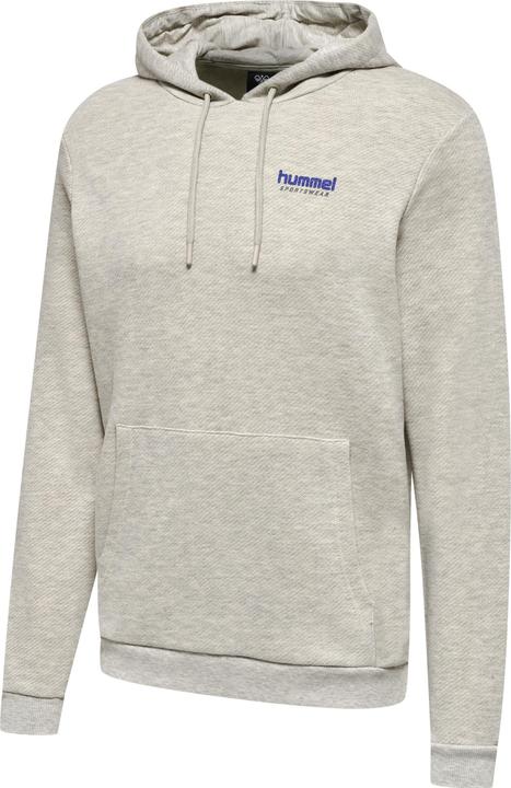Actual product image hummel Lgc Austin Hoodie (M)