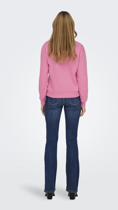 Produktbild JdY JDYPARIS Sweatshirt Sweatshirt (S)