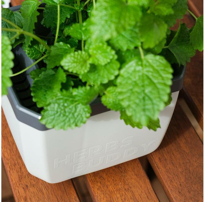 Actual product image Gusta Garden Herbs Buddy (16 x 16.30 x 14.50 cm)