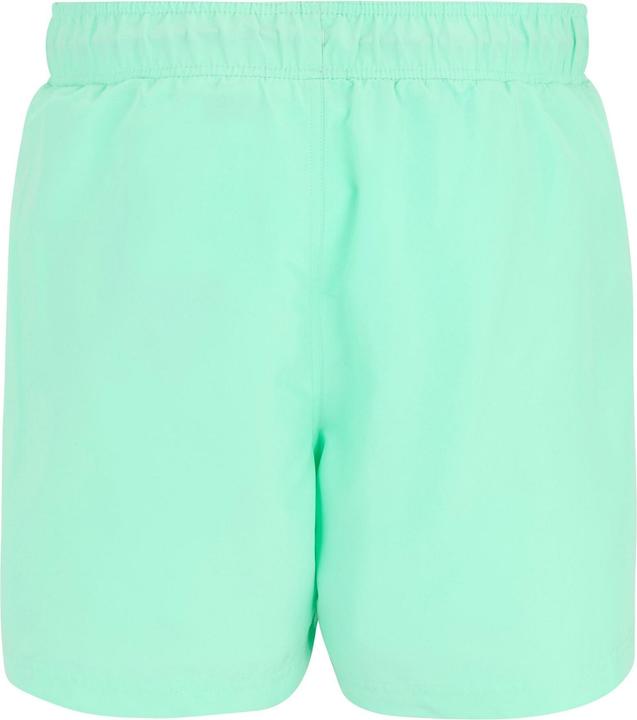 Produktbild Regatta Mawson II Kurze Hose (L)