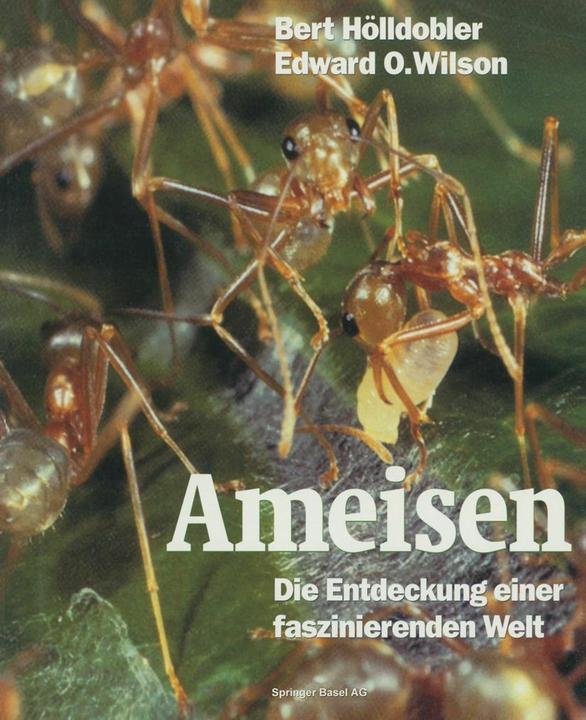 Produktbild Ameisen (Deutsch, Bert/Wilson, Edward O., Hölldobler, 2014)