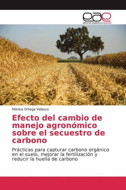 Immagine prodotto Efecto del cambio de manejo agronómico sobre el secuestro de carbono (Mónica Ortega Velasco, 2020)