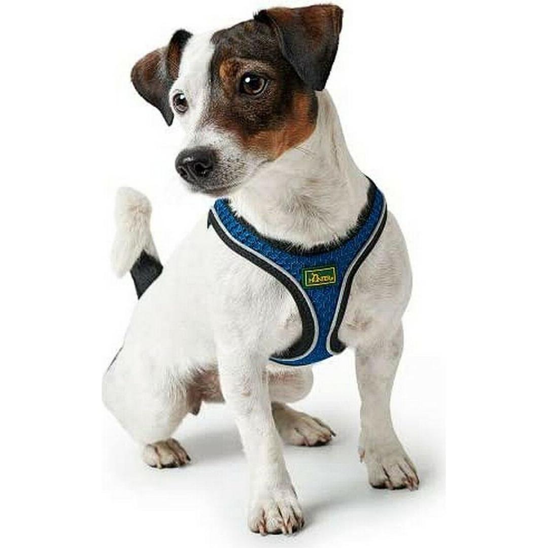 Thumbnail - Hunter Hundegeschirr Hilo Comfort (XXS, Hund, Allgemein), Halsband + Leine