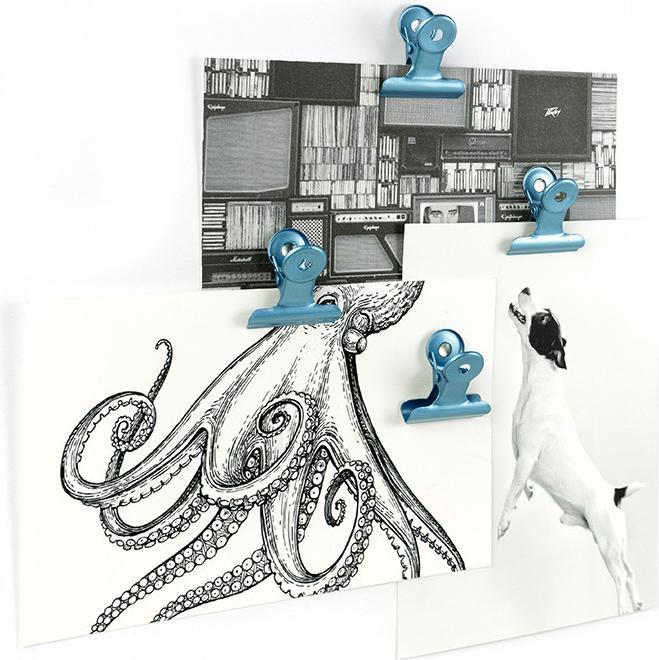 Image du produit Trendform Clip magnétique GRAFFA set de 4 pièces bleu (4 x)