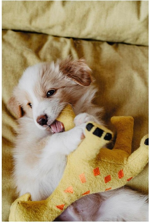 Image du produit Hunter Jouet pour chien Eiby Girafe (Jouet en peluche chien)