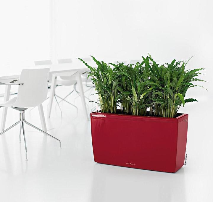 Produktbild Lechuza Cararo (75 x 30 x 43 cm)