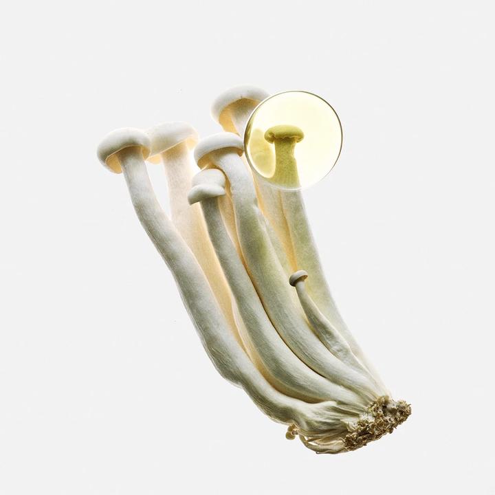 Produktbild Loewe Earth Elixir 100 Vap (Eau de Parfum, 100 ml)