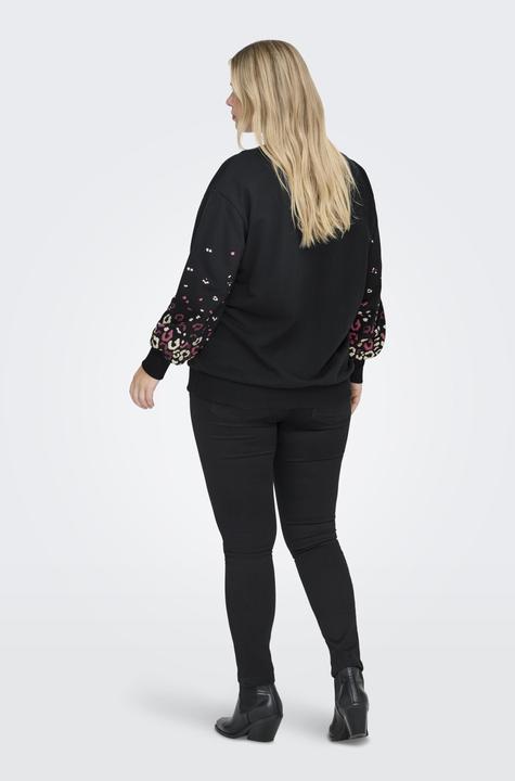 Produktbild Only CARBROOKE Sweatshirt Sweatshirt (54)