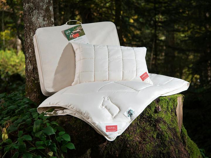 Image du produit Hefel Bio-wool (65 x 65 cm)