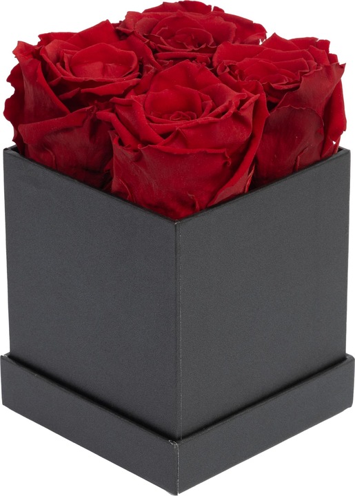 Actual product image Migros Ostschweiz Premium roses (stabilised roses) in a cube (Infinity Flowers)