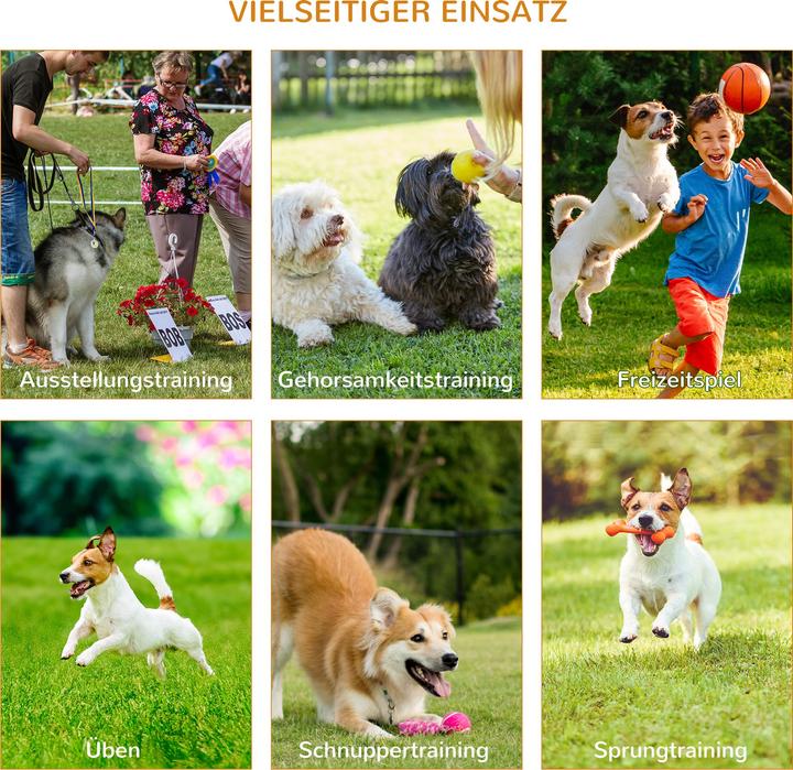 Immagine prodotto PawHut Set di agilità per 4 diverse varianti di allenamento (Destrezza)
