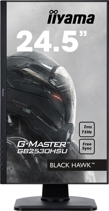 Actual product image iiyama G-Master GB2530HSU-B1 (1920 x 1080 pixels, 24.49")