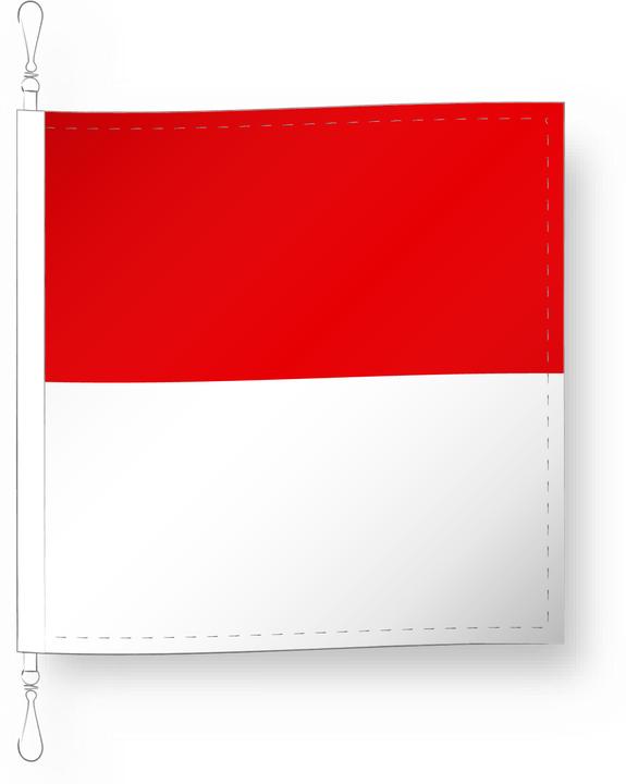 Actual product image Alpenfahnen Solothurn