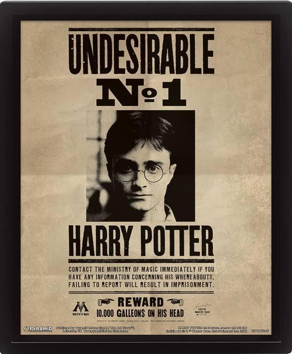 Actual product image Pyramid Harry Potter: Harry Potter - Sirius Black Wanted 3D